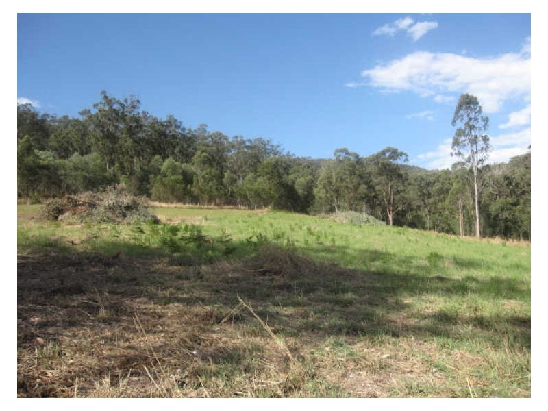 231 Clagiraba Road, Mount Nathan QLD 4211