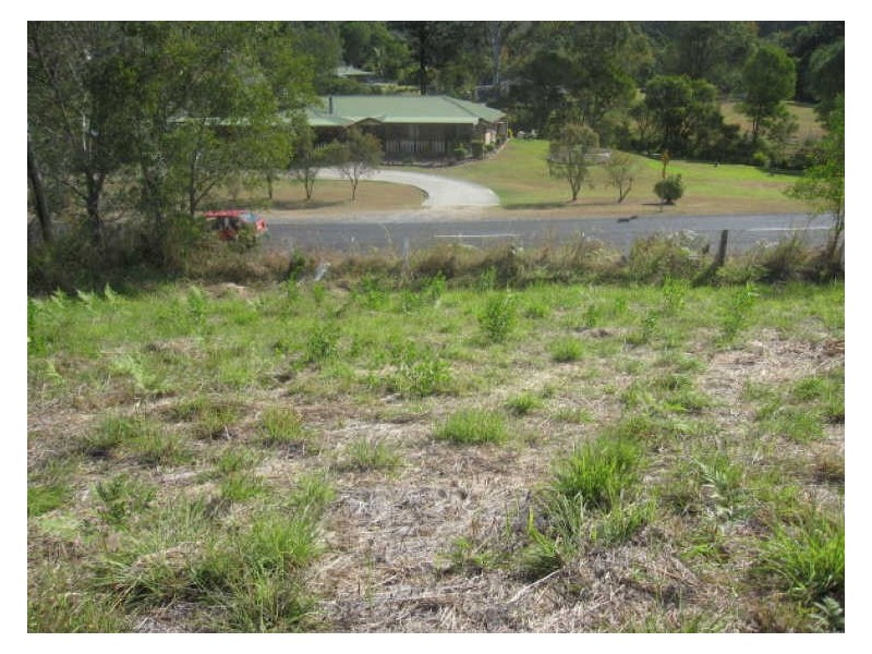 231 Clagiraba Road, Mount Nathan QLD 4211