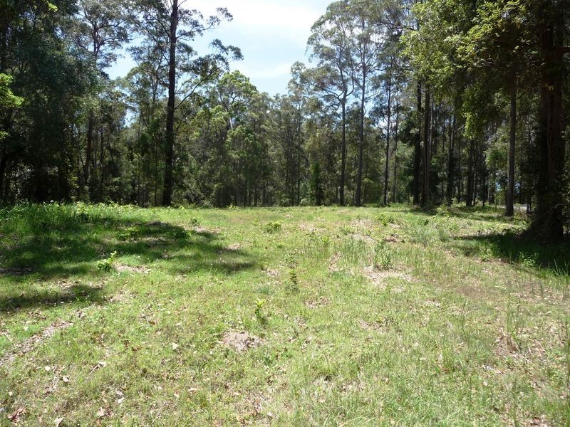 261 Pocket Road, Numinbah Valley QLD 4211