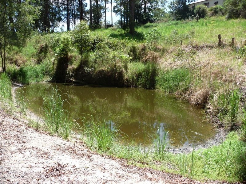 261 Pocket Road, Numinbah Valley QLD 4211