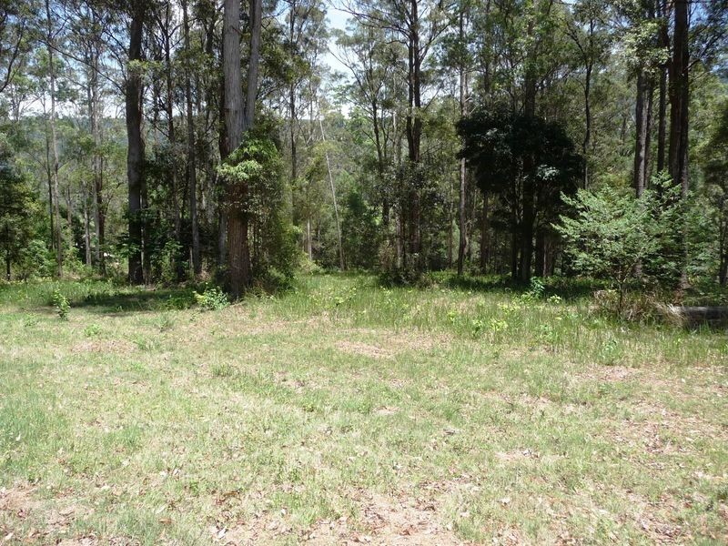 261 Pocket Road, Numinbah Valley QLD 4211