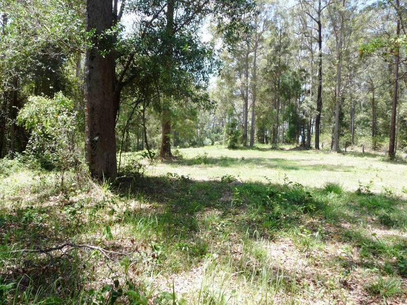 261 Pocket Road, Numinbah Valley QLD 4211