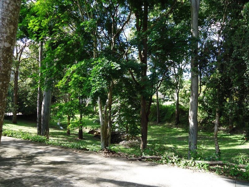 56A Koola Drive, Nerang QLD 4211