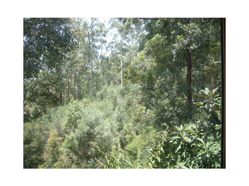 14 Eden Park Court, Mount Nathan QLD 4211