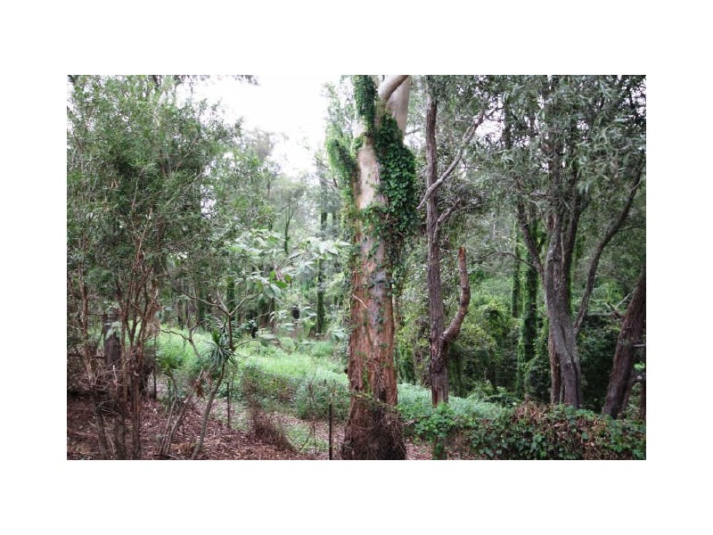 22 Rossmore Street, Nerang QLD 4211