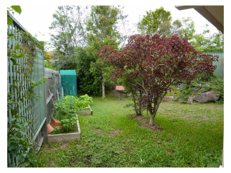 3 Tamarind Close, Nerang QLD 4211
