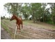 22 Narrabri Court, Gaven QLD 4211