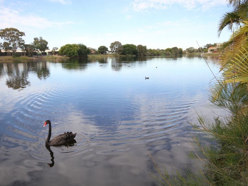 10 Marjorie Crescent, Benowa QLD 4217