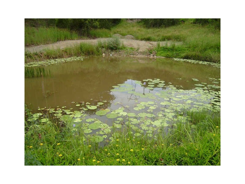 Lot 2/708 Gilston Road, Gilston QLD 4211