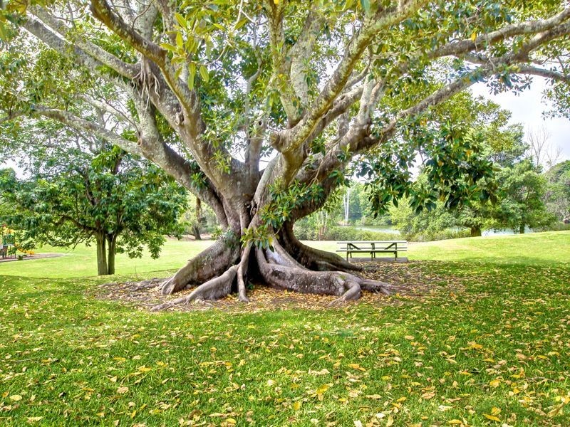 14 Rhiannon Drive, Ashmore QLD 4214