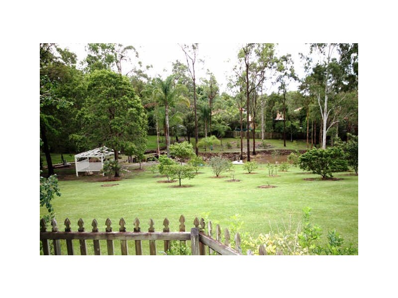 29 Padauk Drive, Nerang QLD 4211