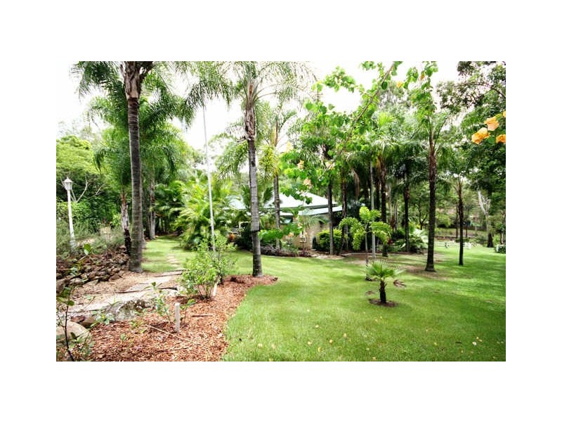 29 Padauk Drive, Nerang QLD 4211