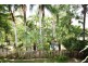 29 Padauk Drive, Nerang QLD 4211
