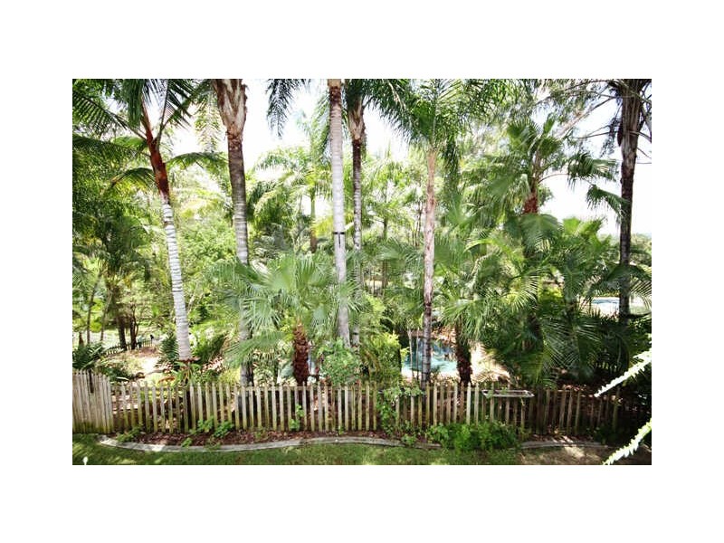 29 Padauk Drive, Nerang QLD 4211