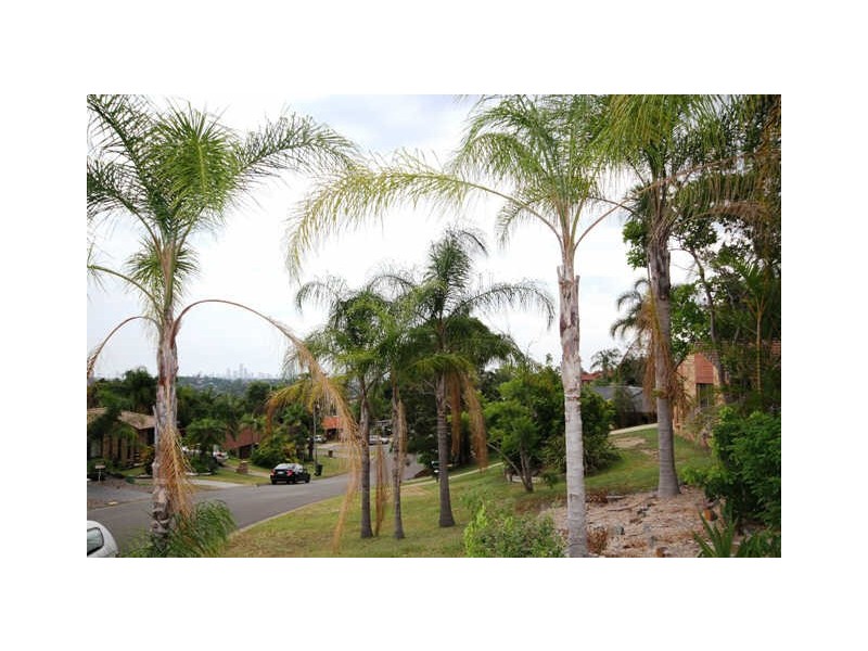 6 Leesa Court, Highland Park QLD 4211