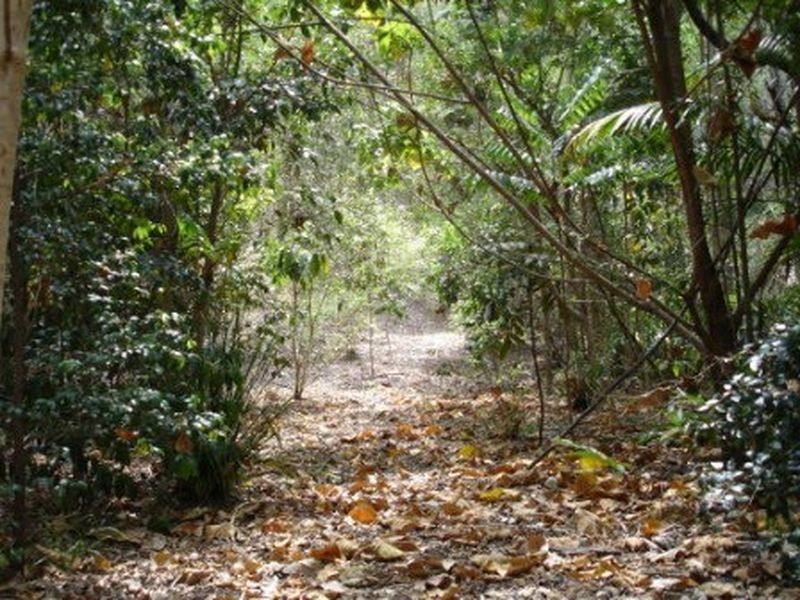 79 Mystery Road, Guanaba QLD 4210