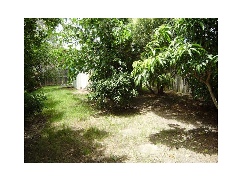 178 Dugandan Street, Nerang QLD 4211