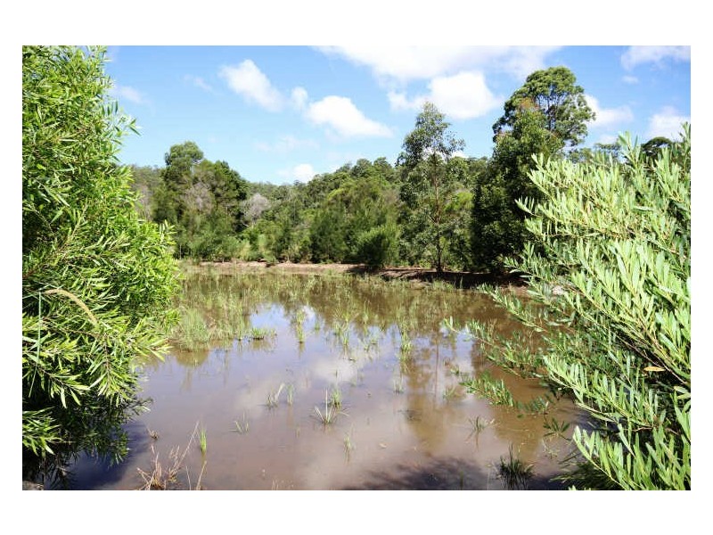 38 Silvereye Circuit, Gilston QLD 4211