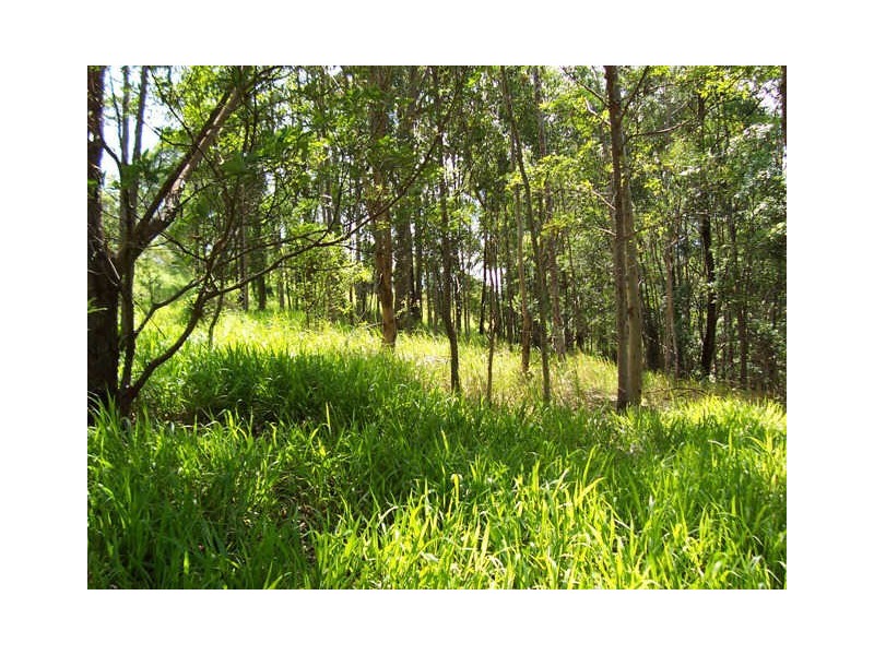 117 Aylesham Drive, Bonogin QLD 4213