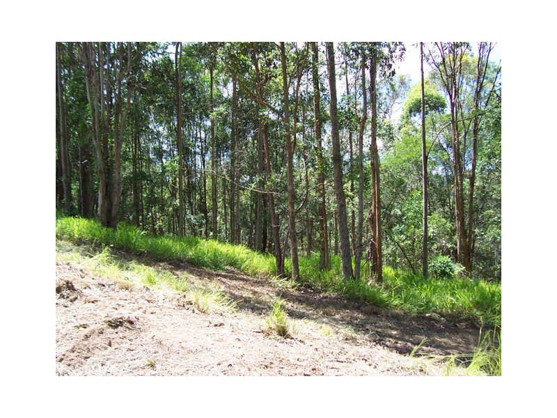 117 Aylesham Drive, Bonogin QLD 4213