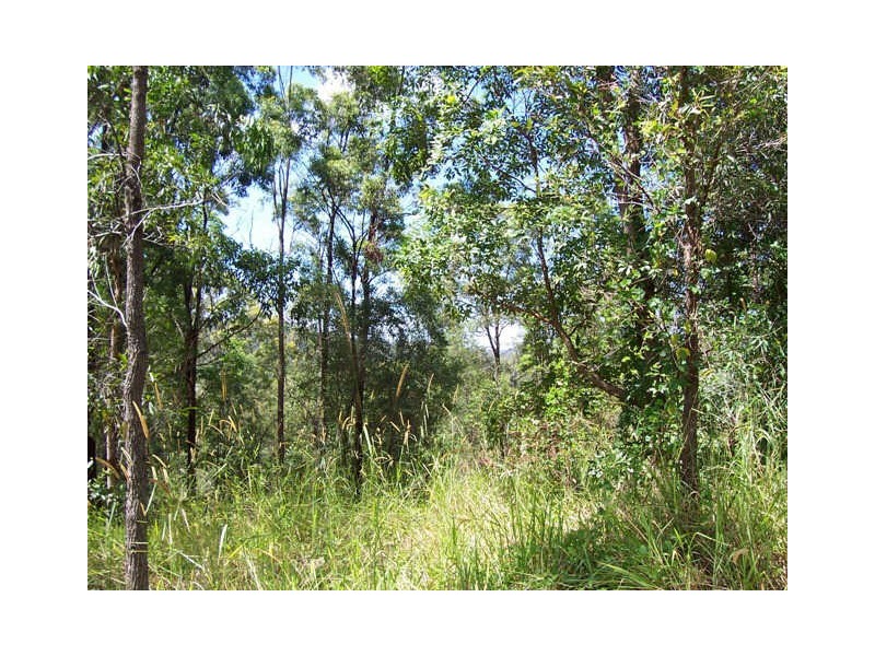 117 Aylesham Drive, Bonogin QLD 4213