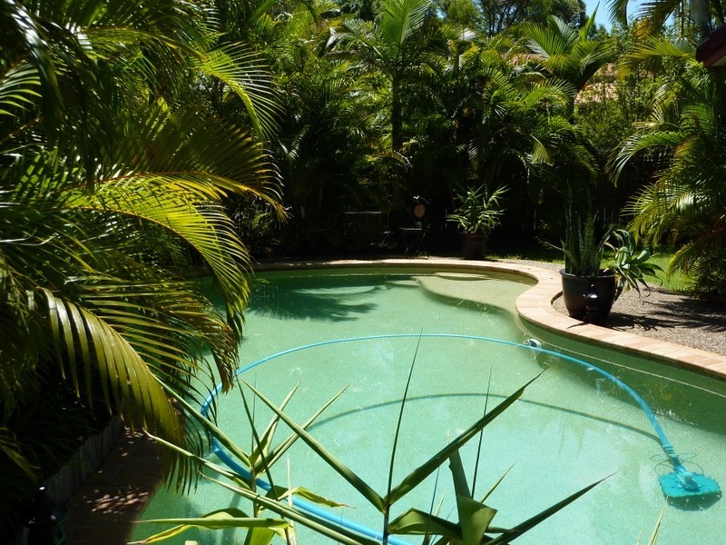 38 Renfrew Drive, Nerang QLD 4211