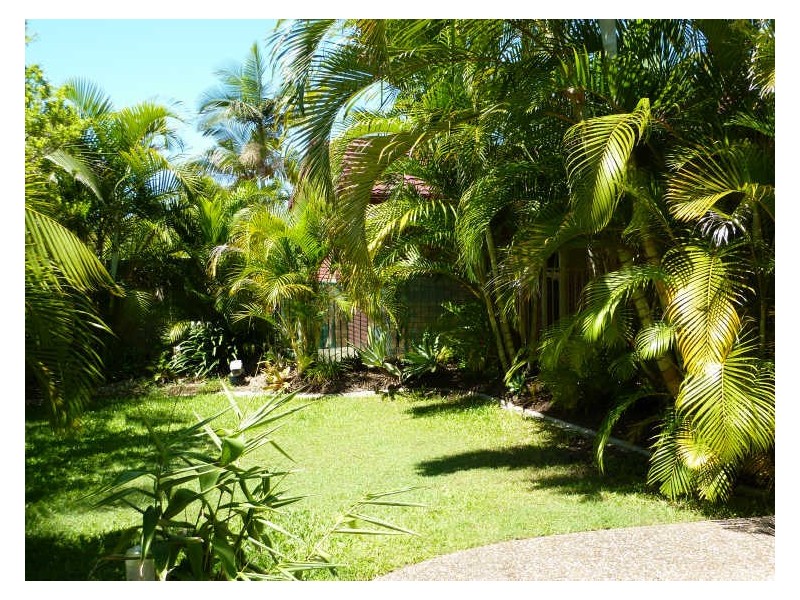 38 Renfrew Drive, Nerang QLD 4211