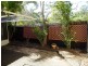 11 Tamarind Close, Nerang QLD 4211