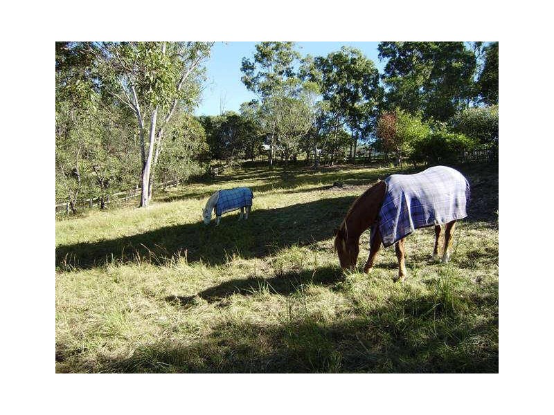 232 Crane Crescent, Nerang QLD 4211