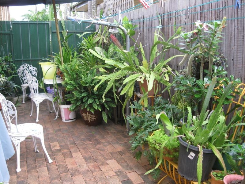 3/3 Martin Street, Nerang QLD 4211