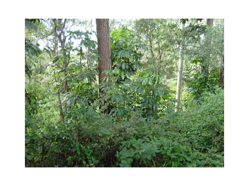201 Dugandan Street, Nerang QLD 4211