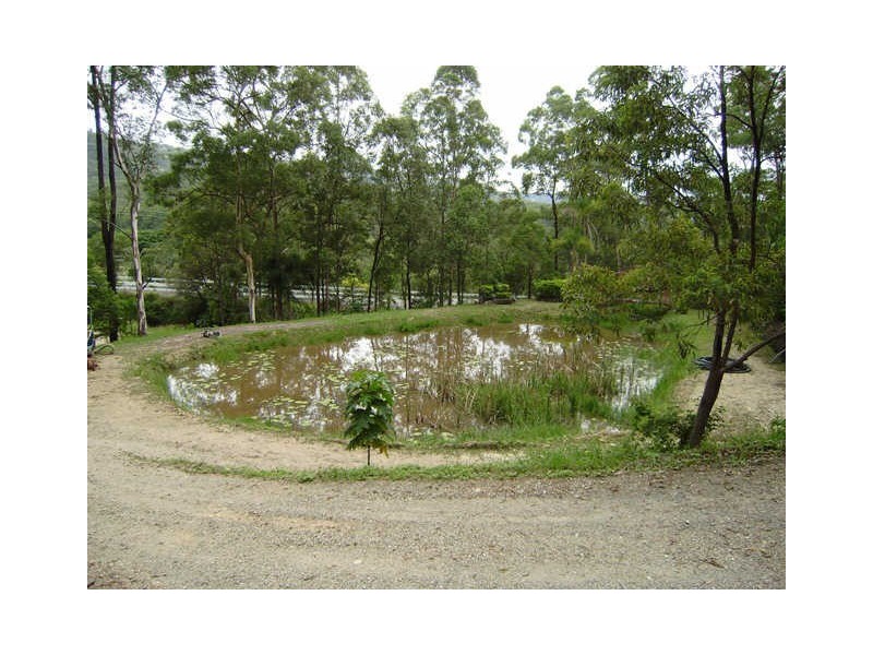 911 Beaudesert Nerang Road, Mount Nathan QLD 4211