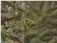 911 Beaudesert Nerang Road, Mount Nathan QLD 4211