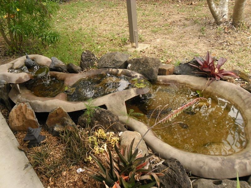 50 Colrene Drive, Nerang QLD 4211