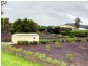 10 Pasture Place, Mount Nathan QLD 4211