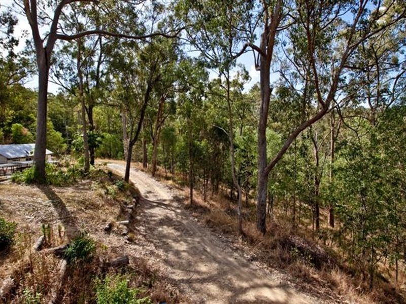 14 King Parrot Court, Clagiraba QLD 4211
