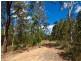 14 King Parrot Court, Clagiraba QLD 4211