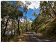 14 King Parrot Court, Clagiraba QLD 4211