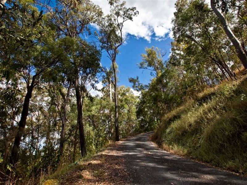 14 King Parrot Court, Clagiraba QLD 4211