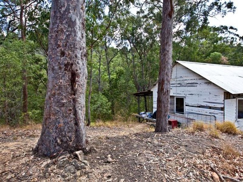 14 King Parrot Court, Clagiraba QLD 4211