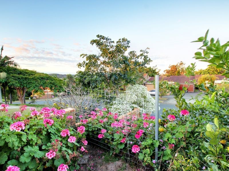 1 Mcleod Street, Highland Park QLD 4211