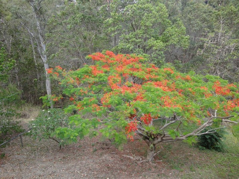 9 Trafalgar Street, Highland Park QLD 4211