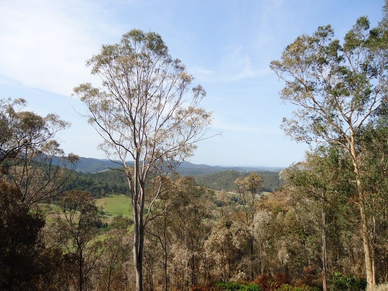 40 King Parrot Court, Clagiraba QLD 4211