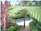 202 Dugandan Street, Nerang QLD 4211