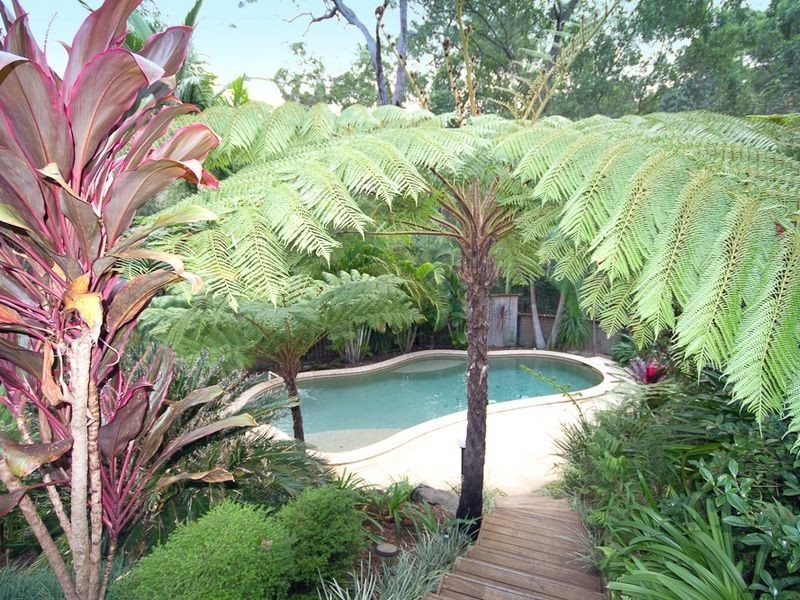 202 Dugandan Street, Nerang QLD 4211