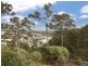 6 Mullingar Place, Carrara QLD 4211