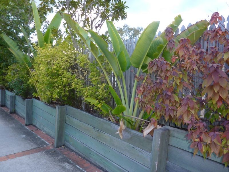 2/16 Martin Street, Nerang QLD 4211