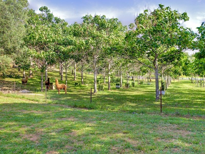 218 Clagiraba Road, Mount Nathan QLD 4211