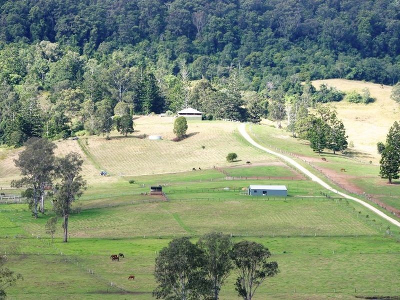 2295 Nerang Murwillimbah Road, Numinbah Valley QLD 4211