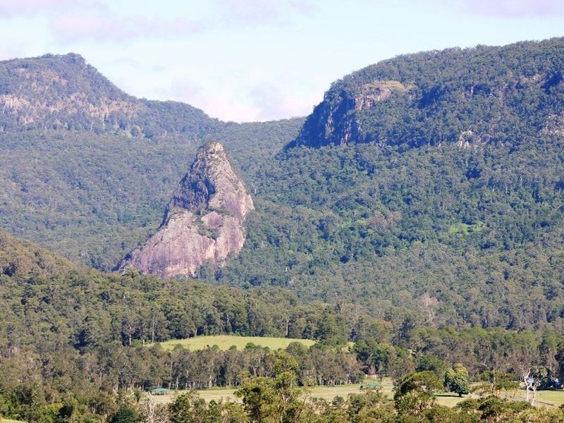 2295 Nerang Murwillimbah Road, Numinbah Valley QLD 4211